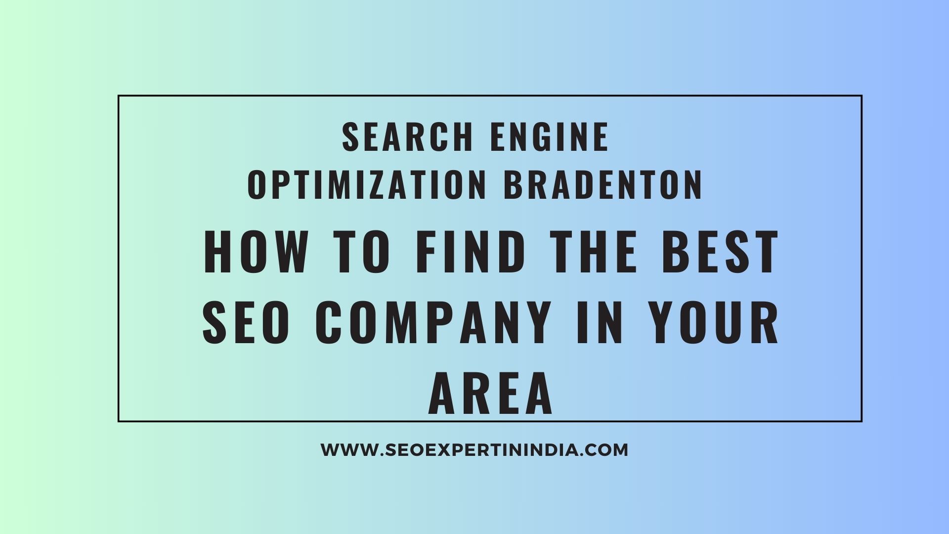 Search Engine Optimization Bradenton